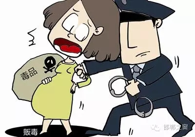 2016年初，涉縣警方查獲一起涉毒案件，鑒于該案涉案人員多、毒品交易量大，涉縣警方立即將案情上報(bào)，被公安部確立為“目標(biāo)-2016-314”號(hào)毒品案件。涉縣警方成立專案組，經(jīng)過多方追查，先后抓獲團(tuán)伙人員13名，繳獲毒品5349克，并查明上線“濮姐”的真實(shí)身份為陳某。